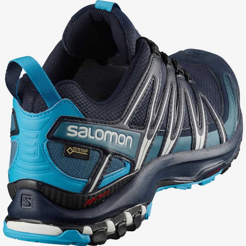 salomon 3d gtx homme