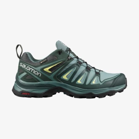 salomon x ultra 3 gtx hiking boots